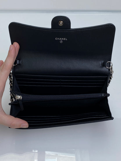 Chanel Iridescent Ombre Lizard Wallet On Chain SHW #22