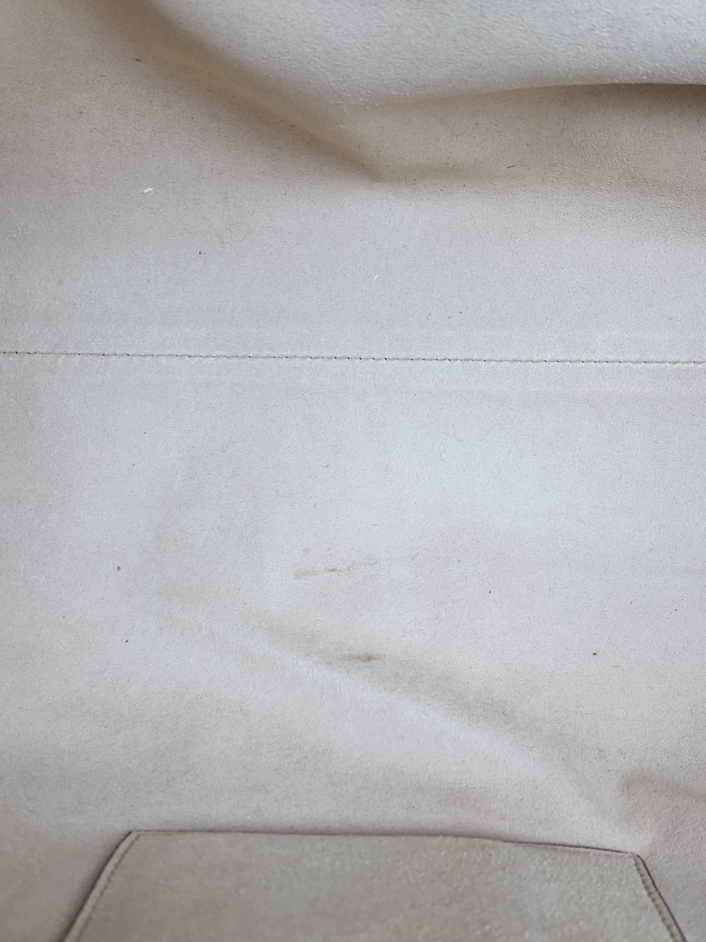 Gucci Brown Linea Totem Web Stripe Tote with Crystal Butterfly GHW