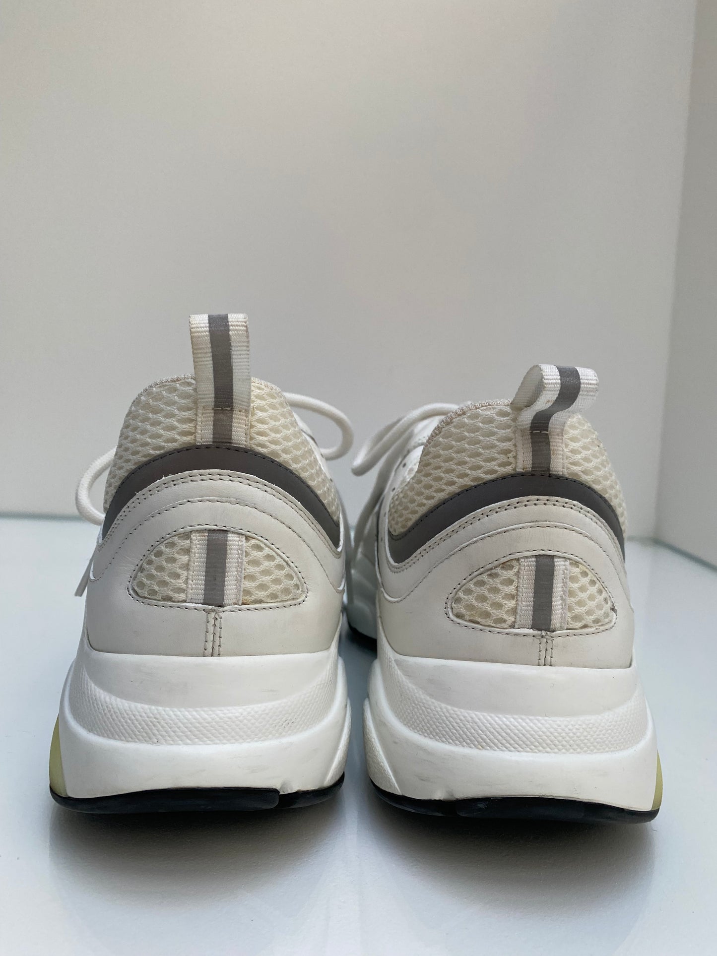 Christian Dior B22 White & Silver Sneakers