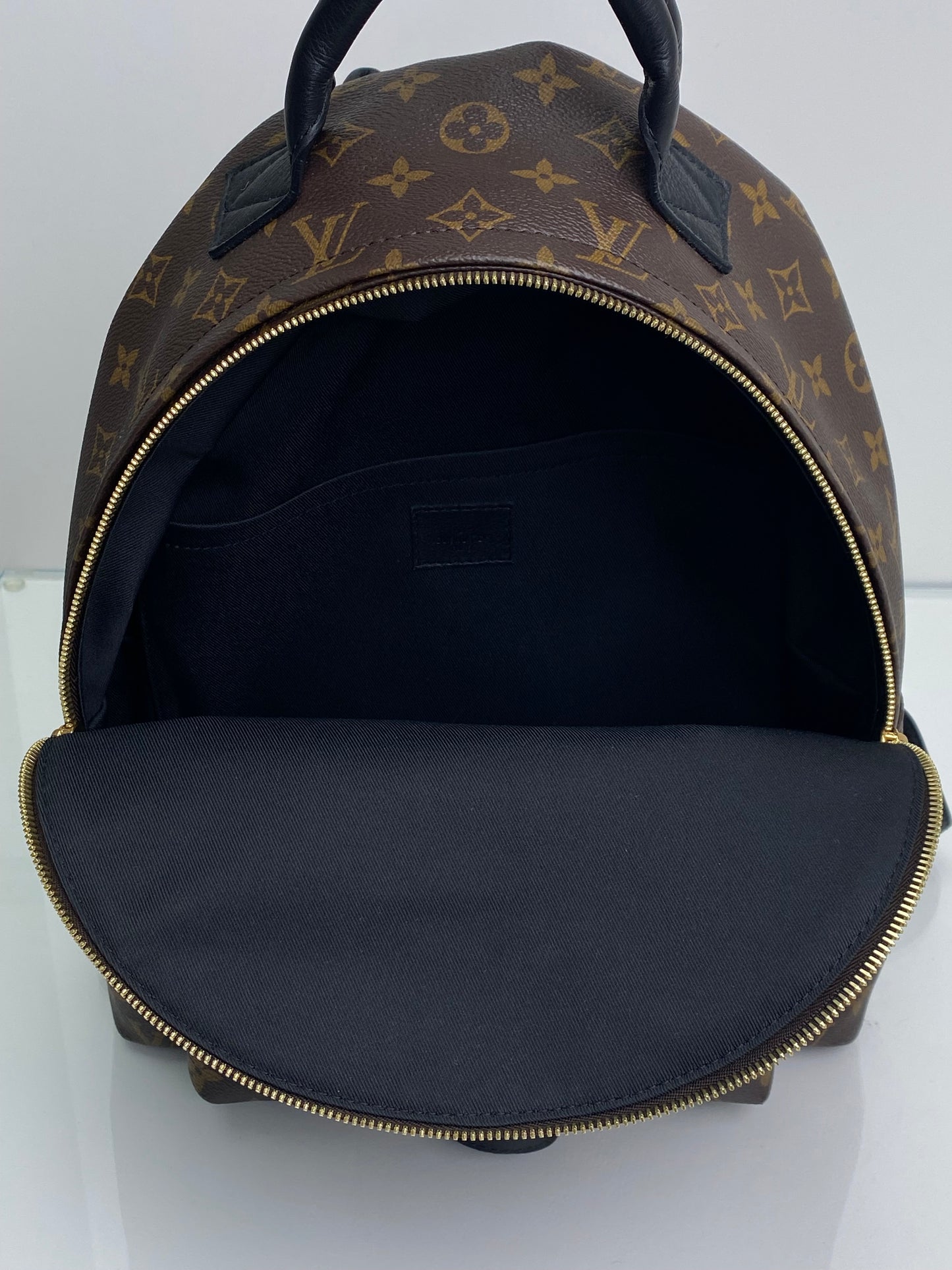 Louis Vuitton Palm Springs Canvas Monogram Backpack PM GHW