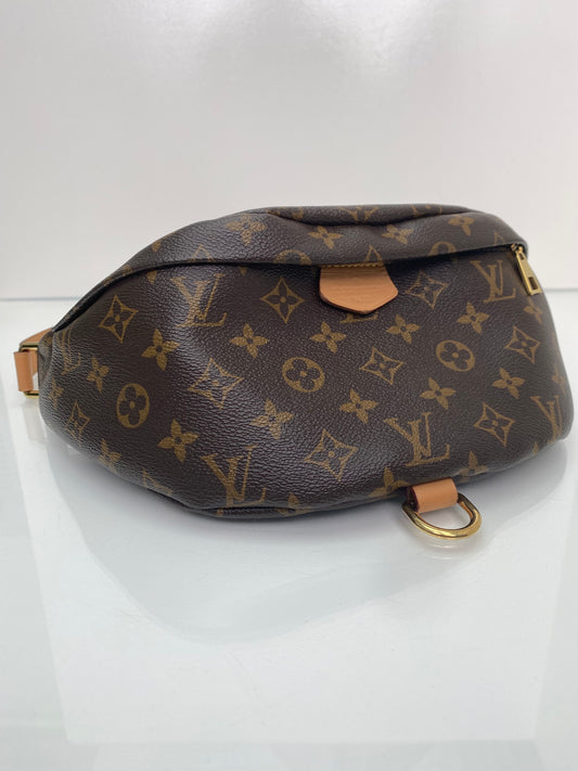 Louis Vuitton Monogram Bum Bag