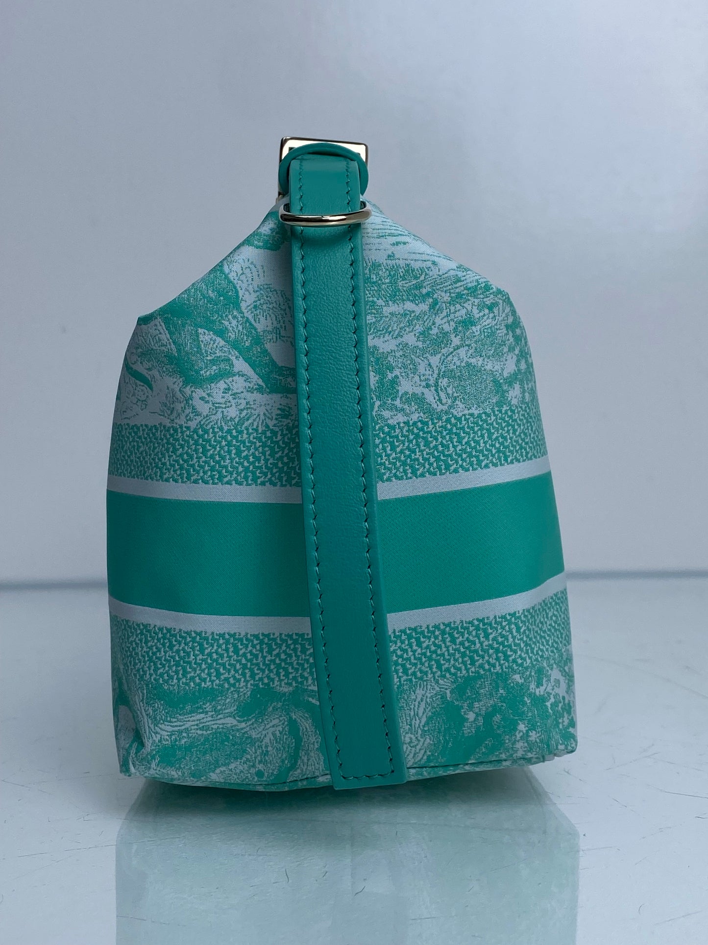 Christian Dior Teal & White Toile De Jouy Nomad Pouch GHW