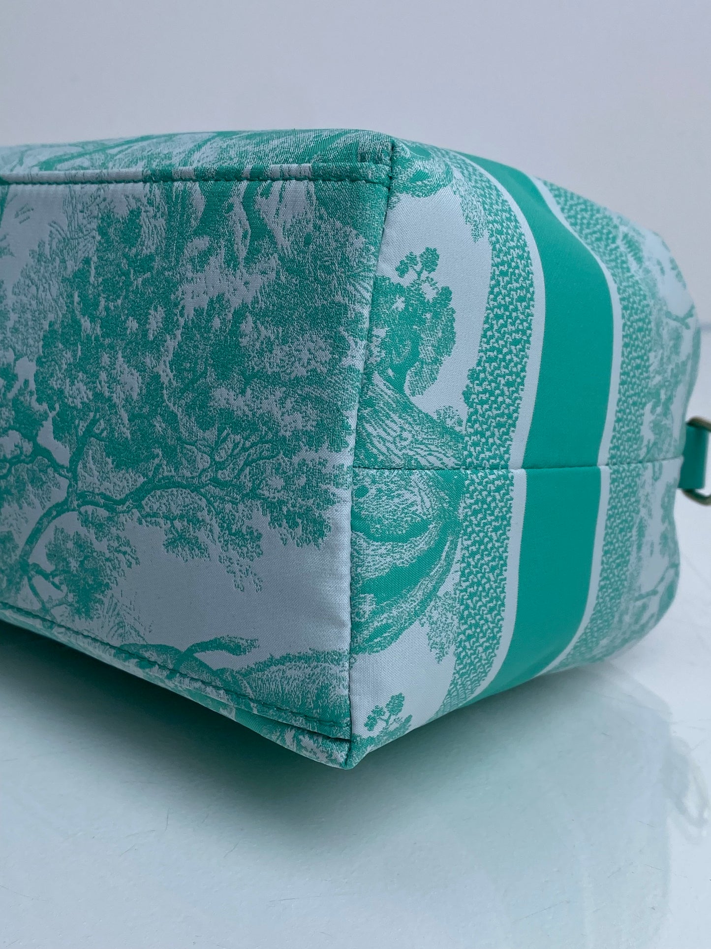 Christian Dior Teal & White Toile De Jouy Nomad Pouch GHW