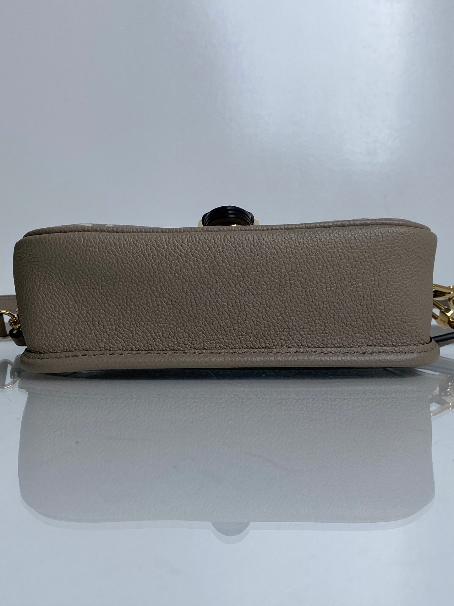 Louis Vuitton Nano Diane Bicolor Monogram Empriente GHW