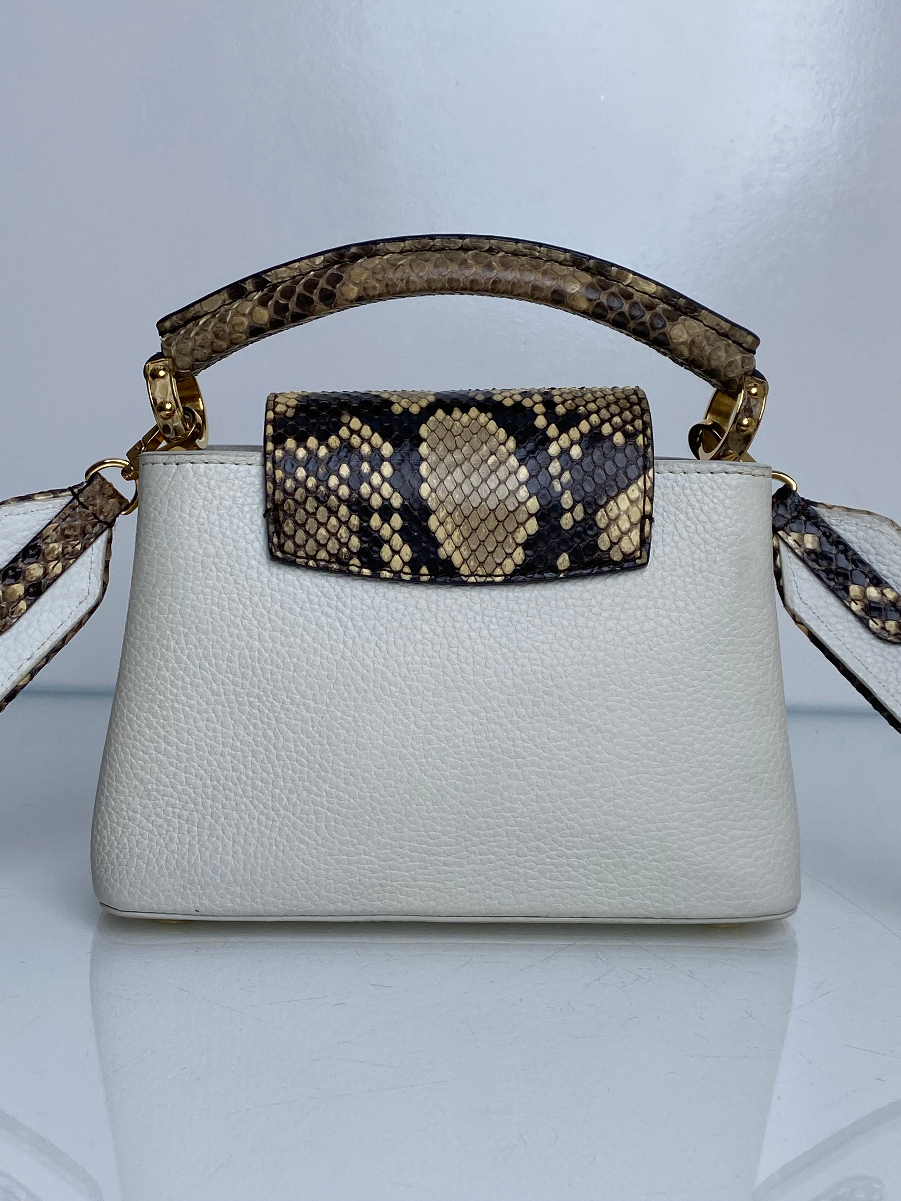 Louis Vuitton White & Snakeskin Capucine Bag GHW