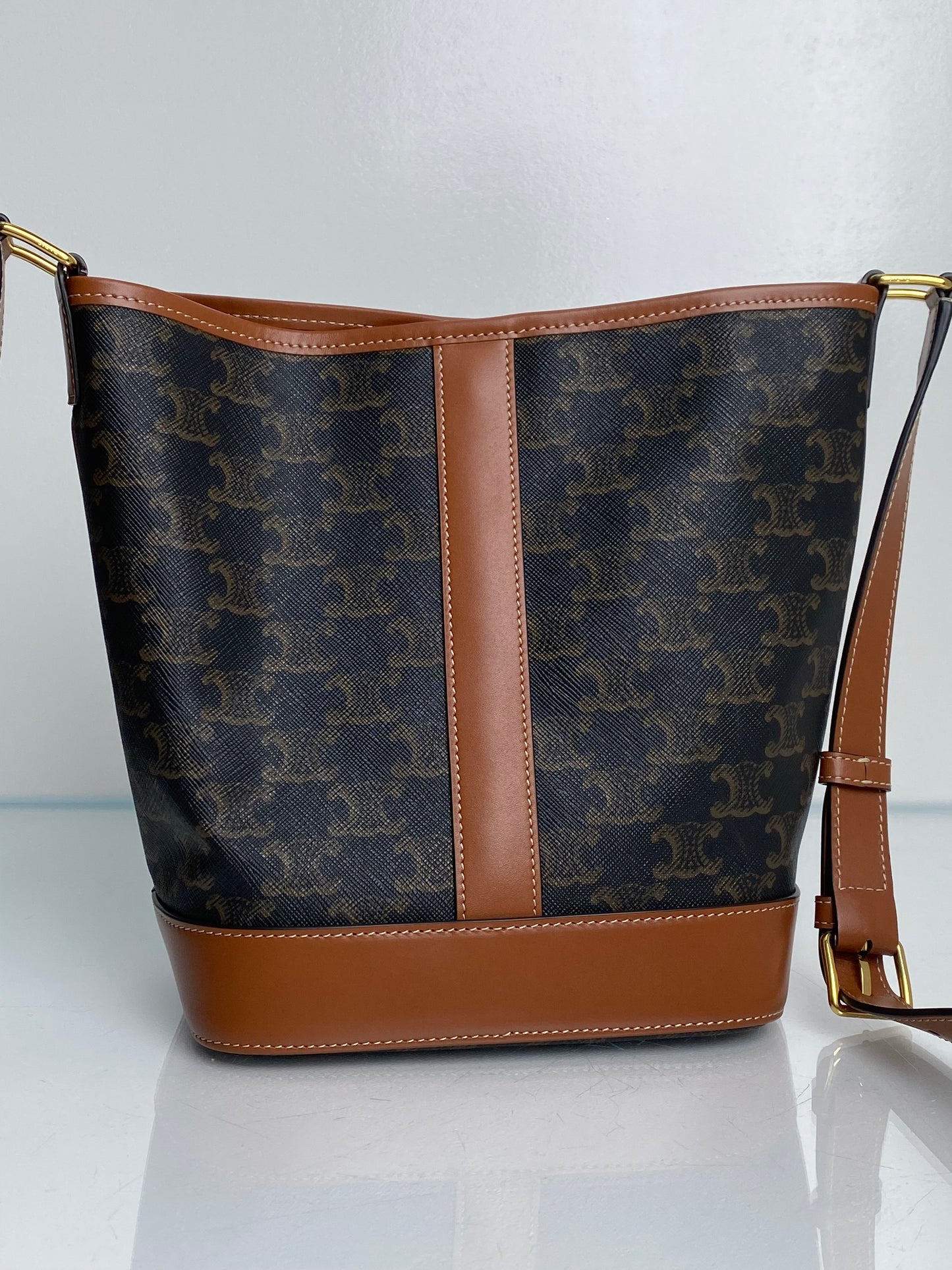 Celine Triomphe Crossbody Bucket Bag GHW