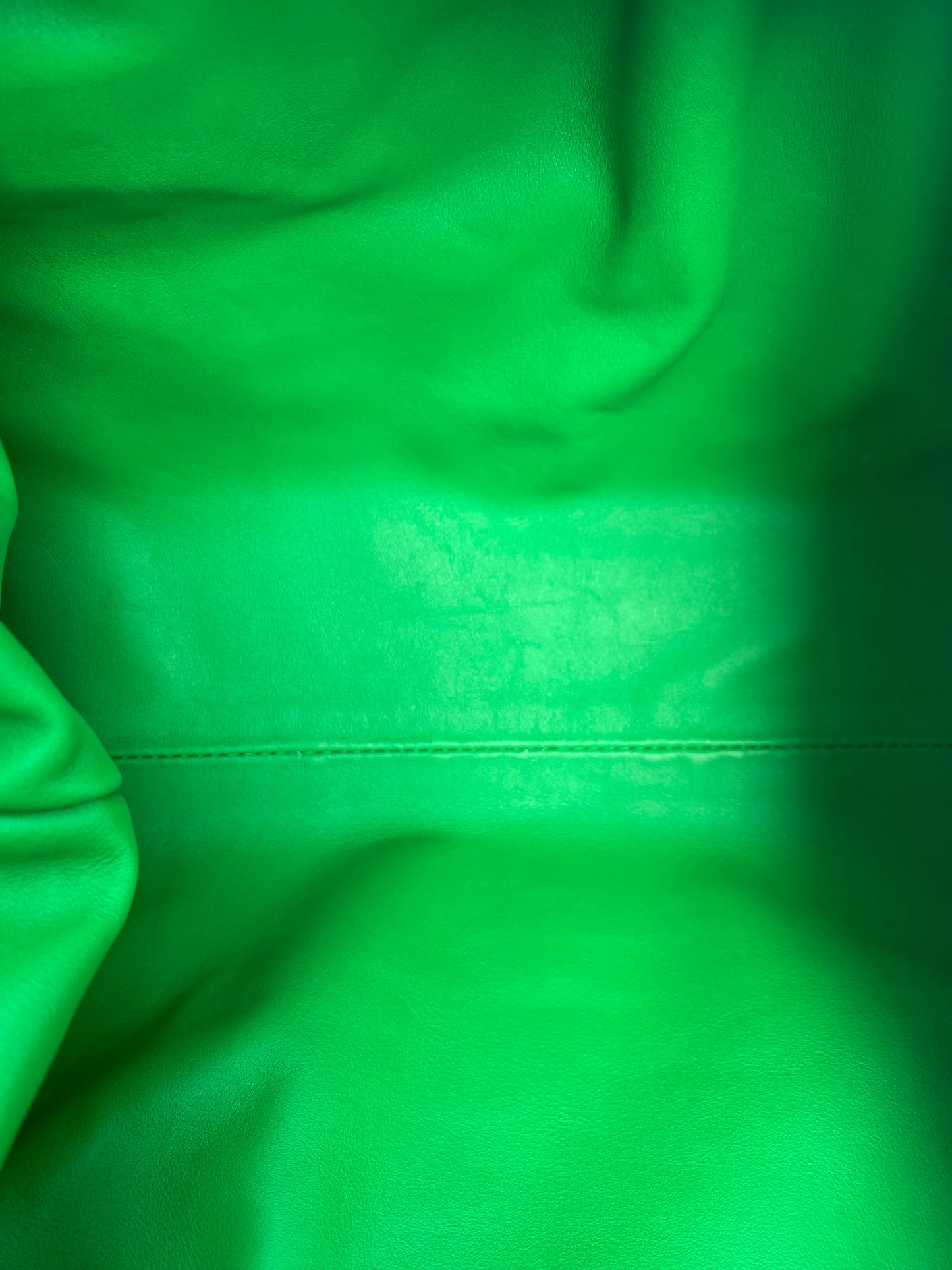 Bottega The Pouch Parakeet Green