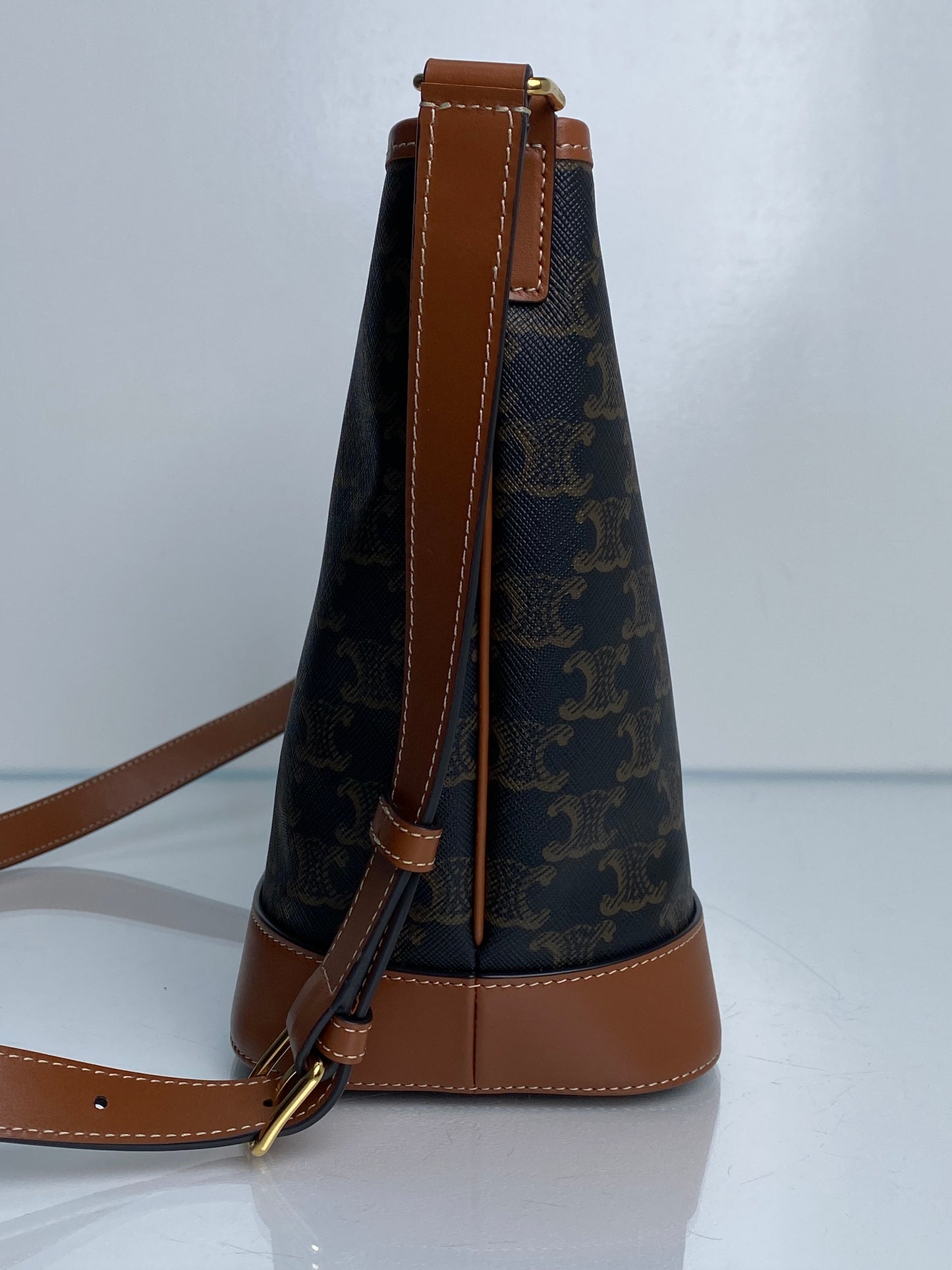 Celine Triomphe Crossbody Bucket Bag GHW