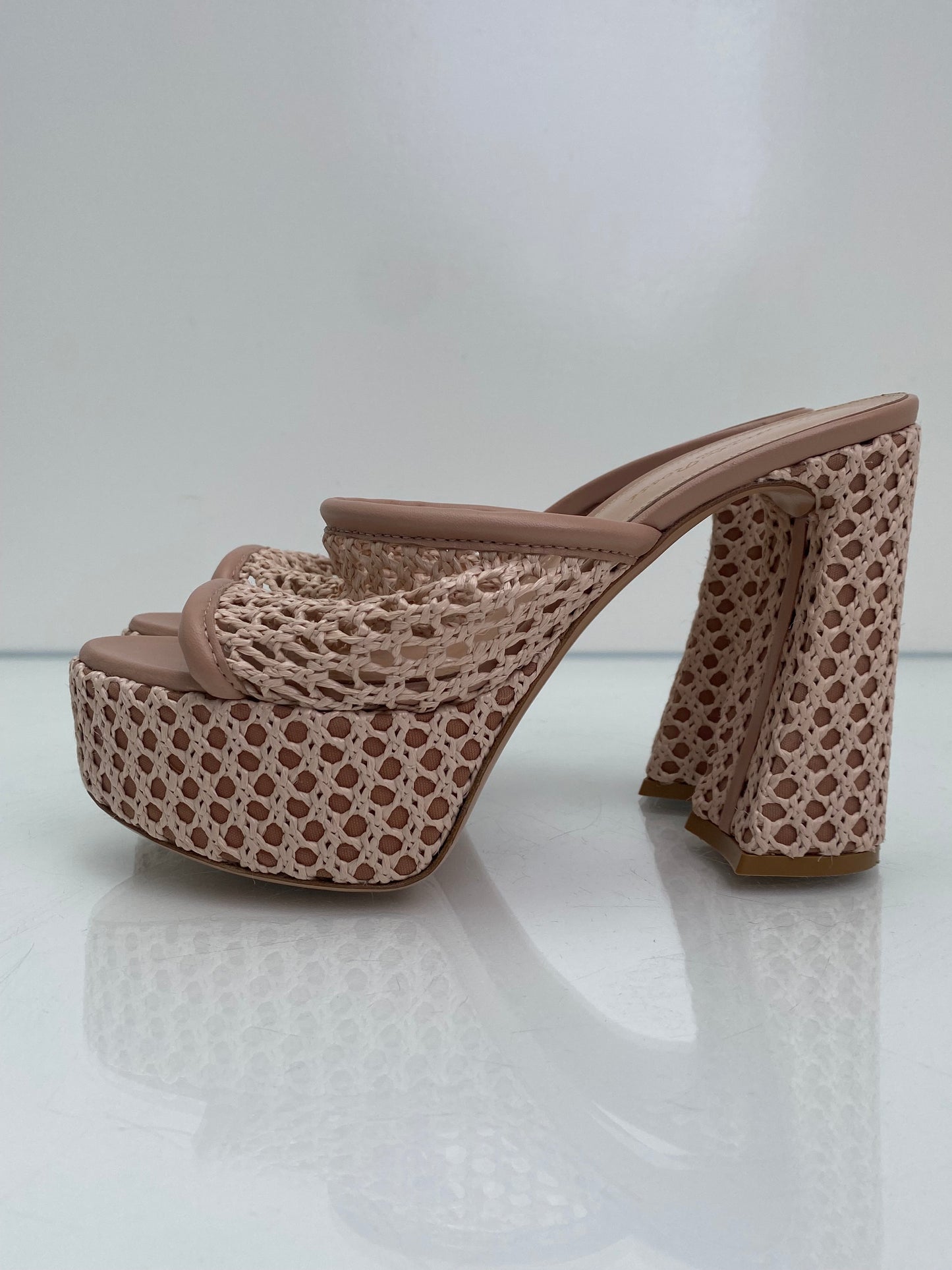 Gianvitto Rossi Mesh/Leather Nude Heels, 37.5