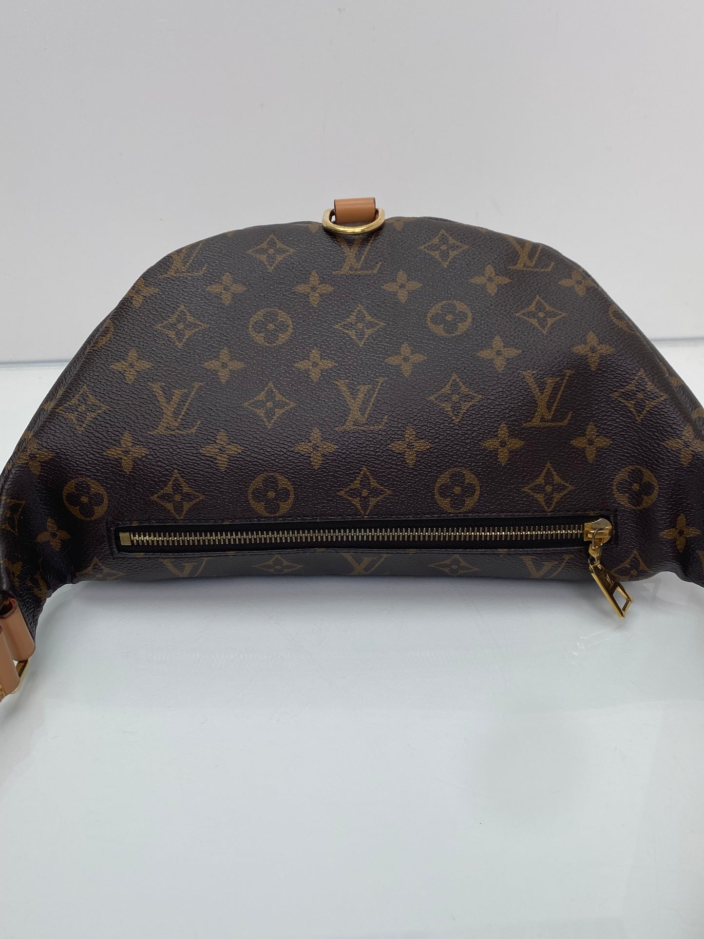 Louis Vuitton Monogram Bum Bag