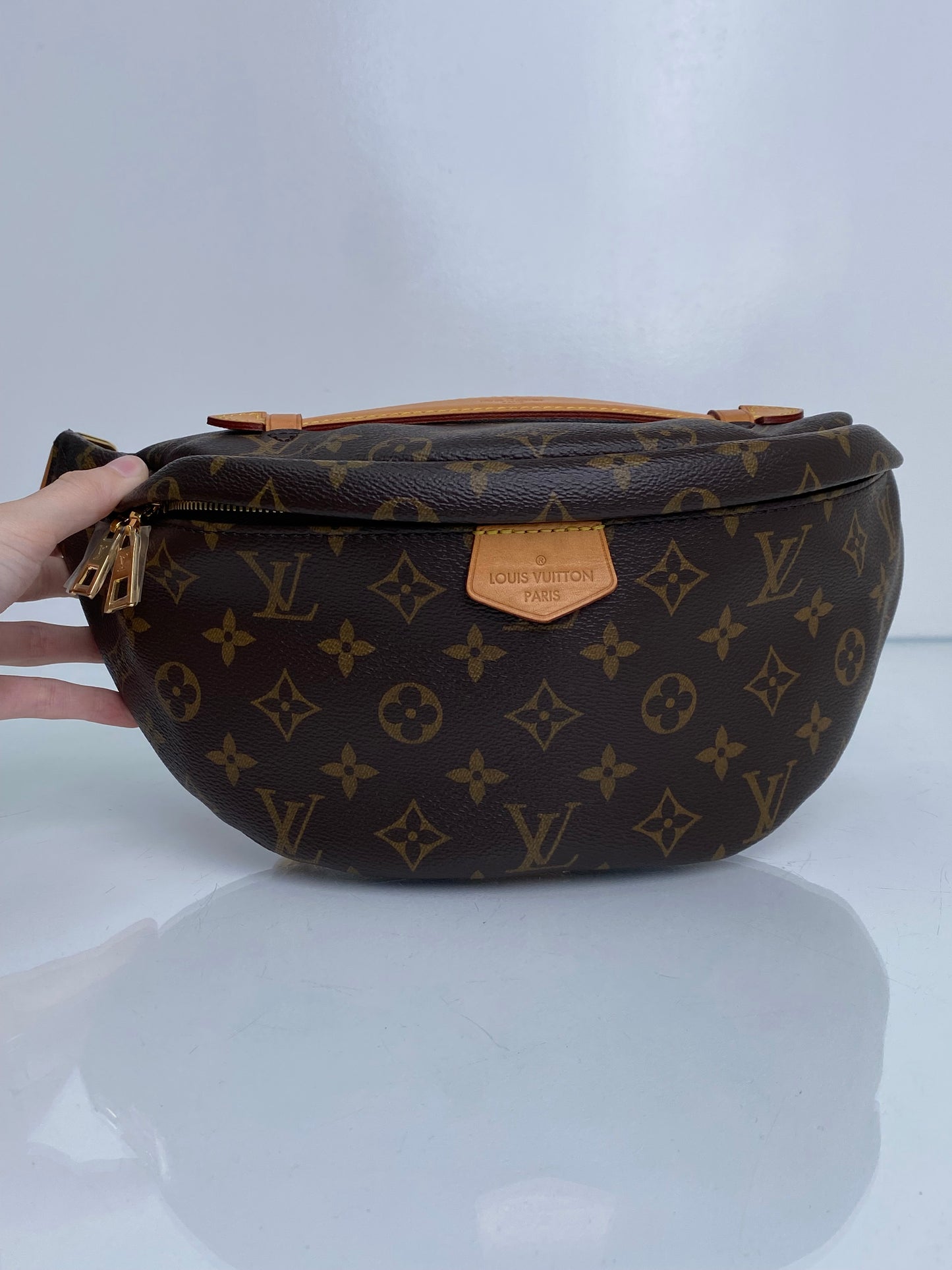 Louis Vuitton Monogram Bum Bag GHW