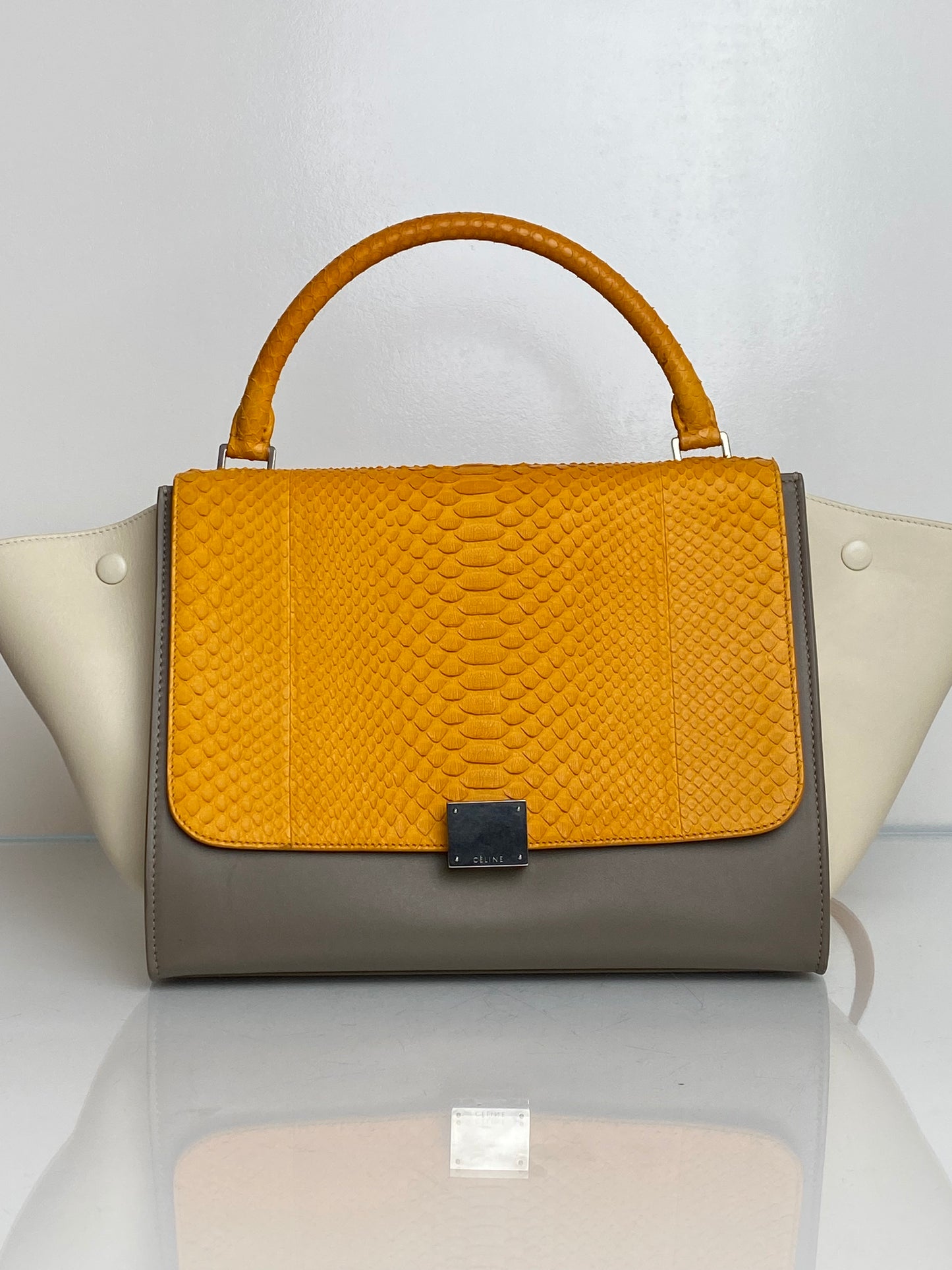 Celine Tricolor Leather & Python Trapeze Top Handle Bag