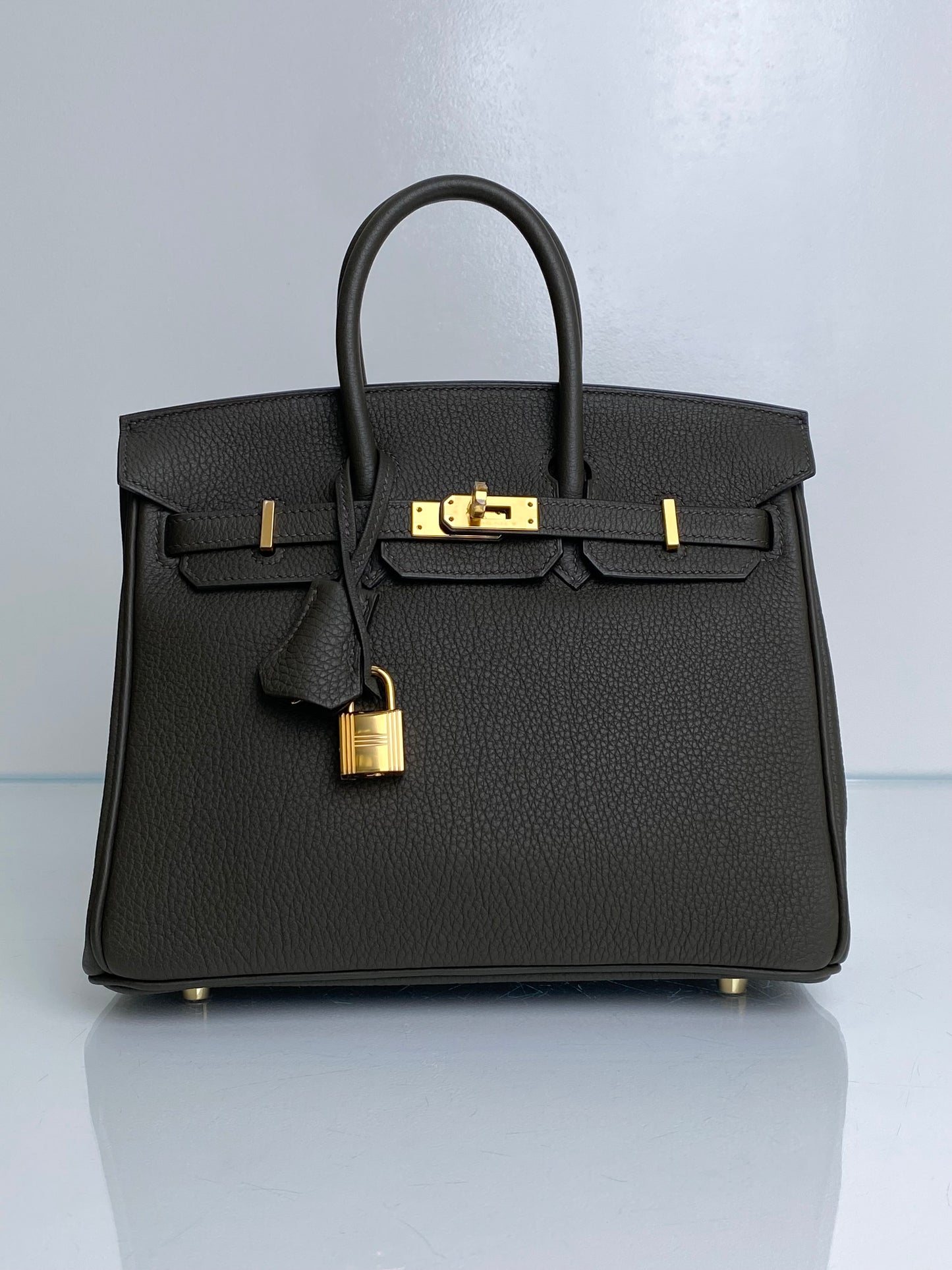 Hermes Birkin 25 Eucalyptus Togo GHW #K
