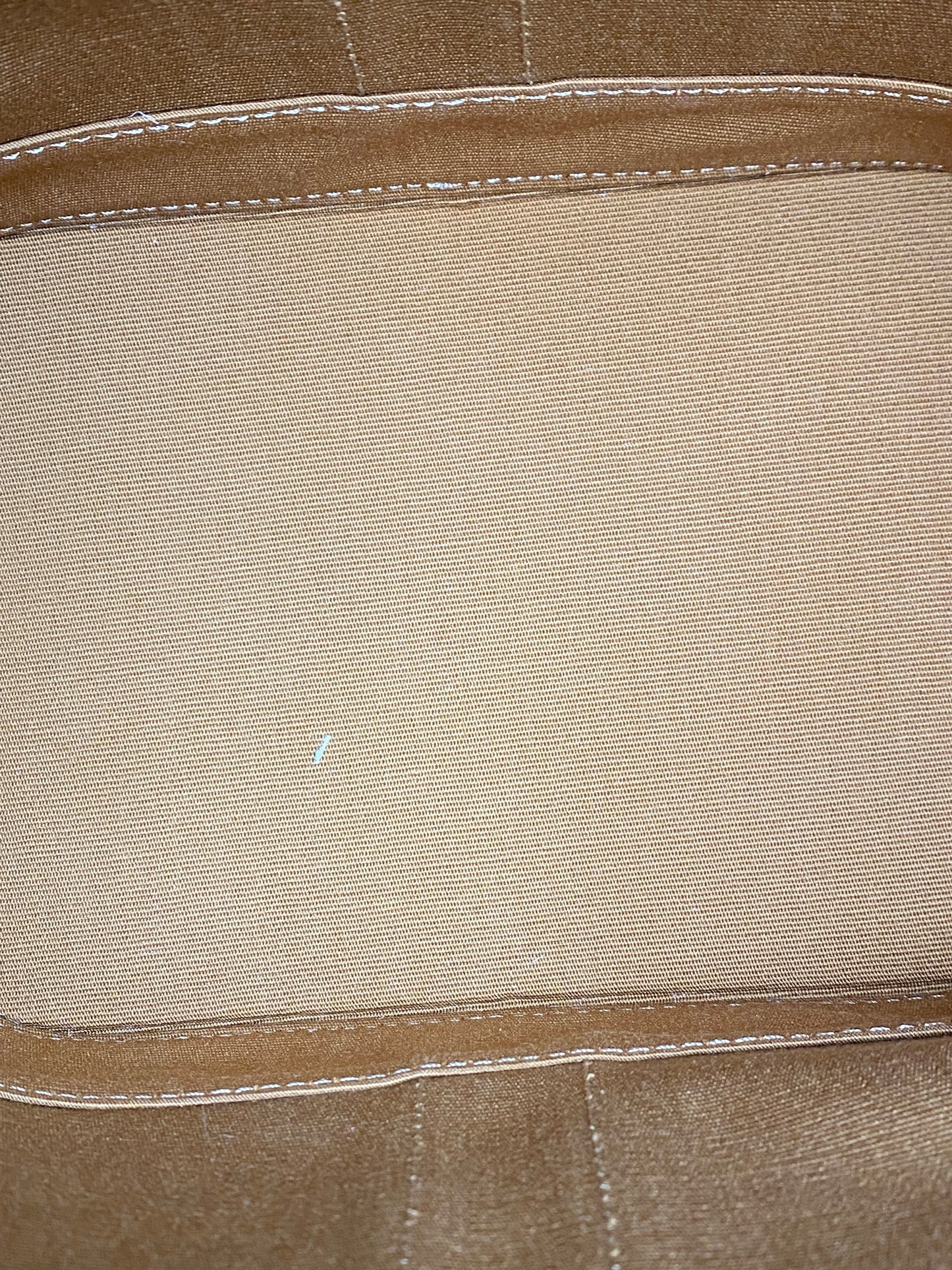 Celine Triomphe Crossbody Bucket Bag GHW