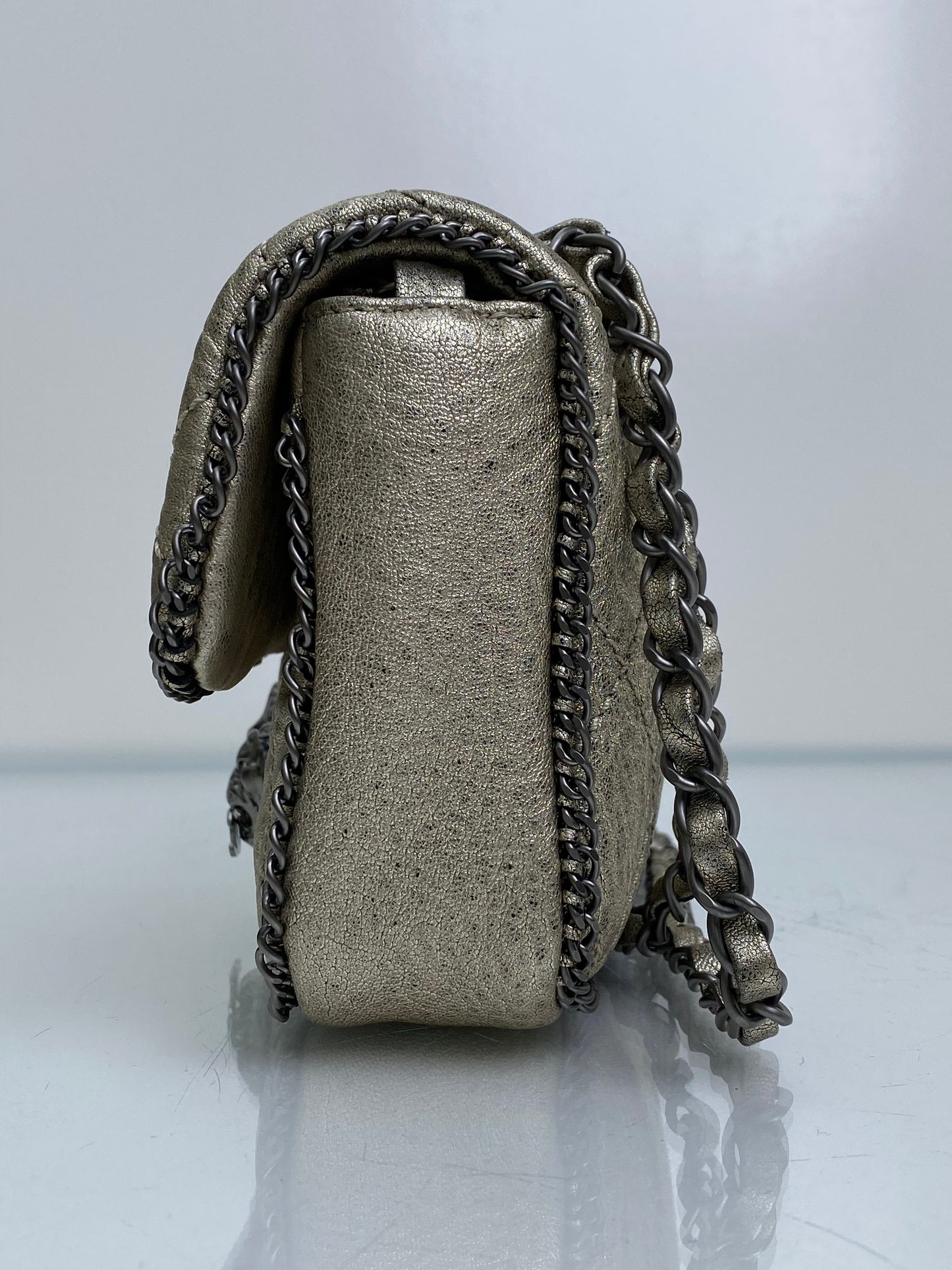 Chanel Champagne Leo Lion Flap Bag SHW #11