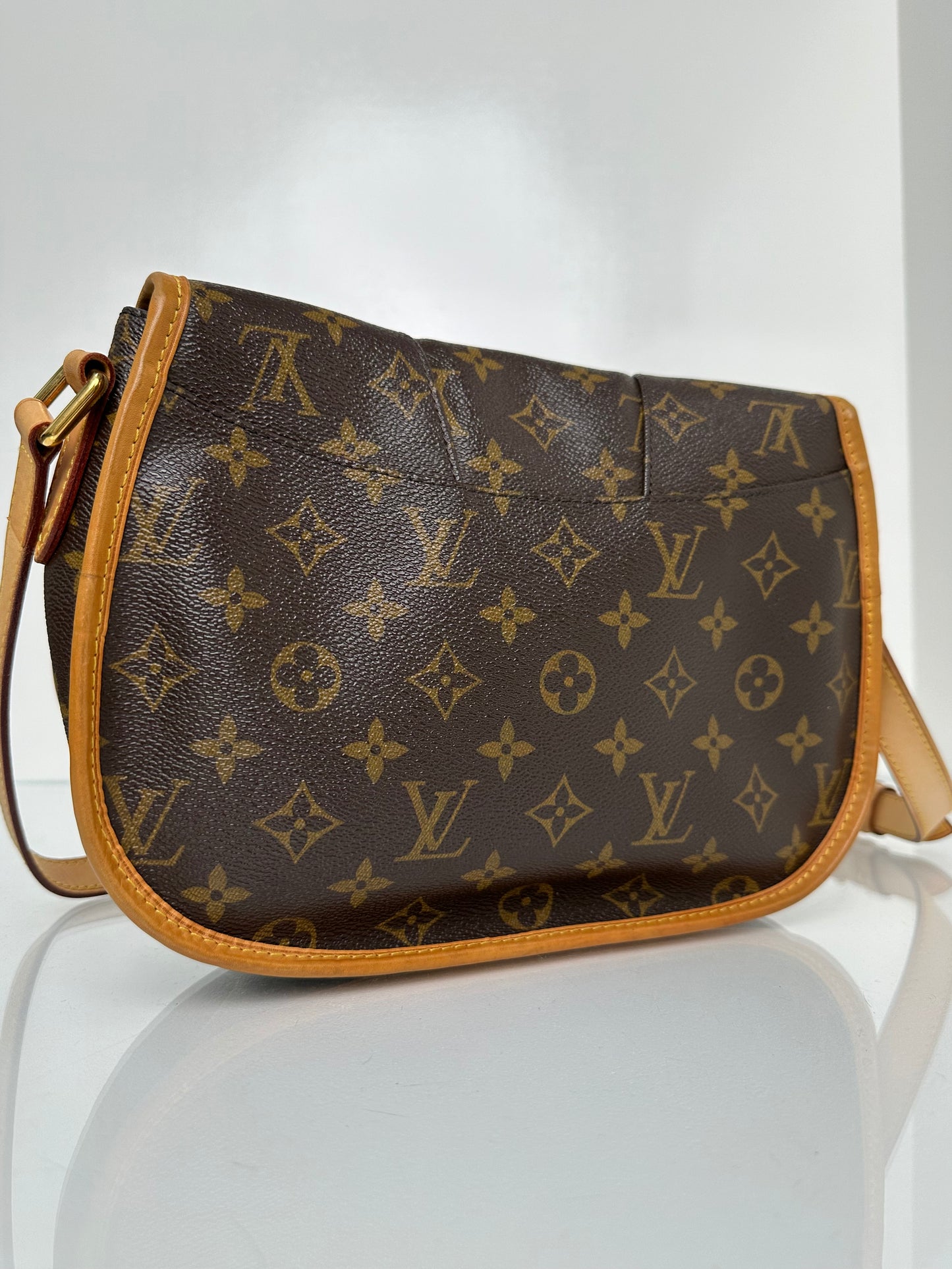 Louis Vuitton Monogram Menlimontant PM