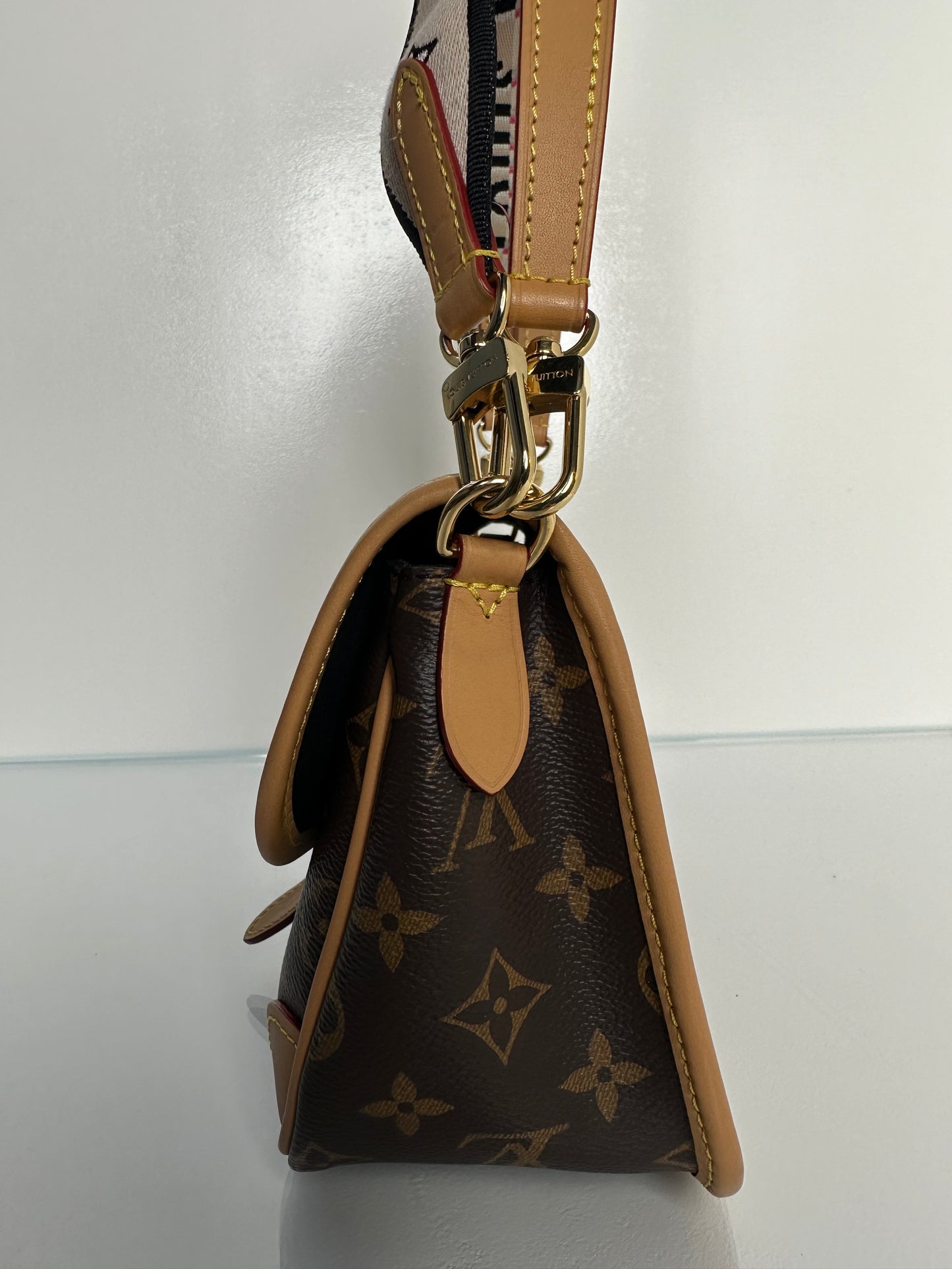 Louis Vuitton Monogram Diane Crossbody Bag