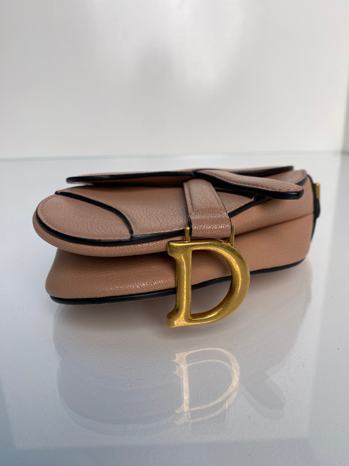 Christian Dior Nude Mini Saddle Bag GHW