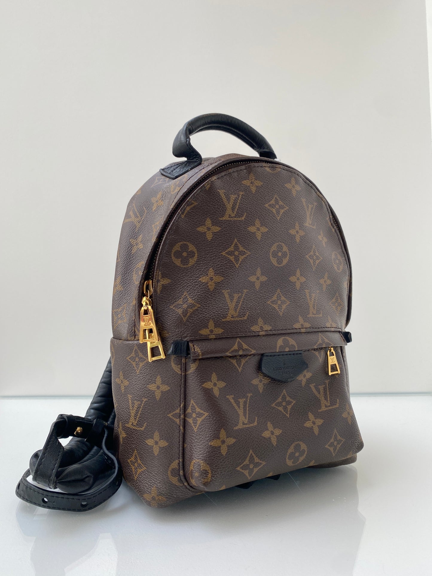 Louis Vuitton Palm Springs PM Backpack