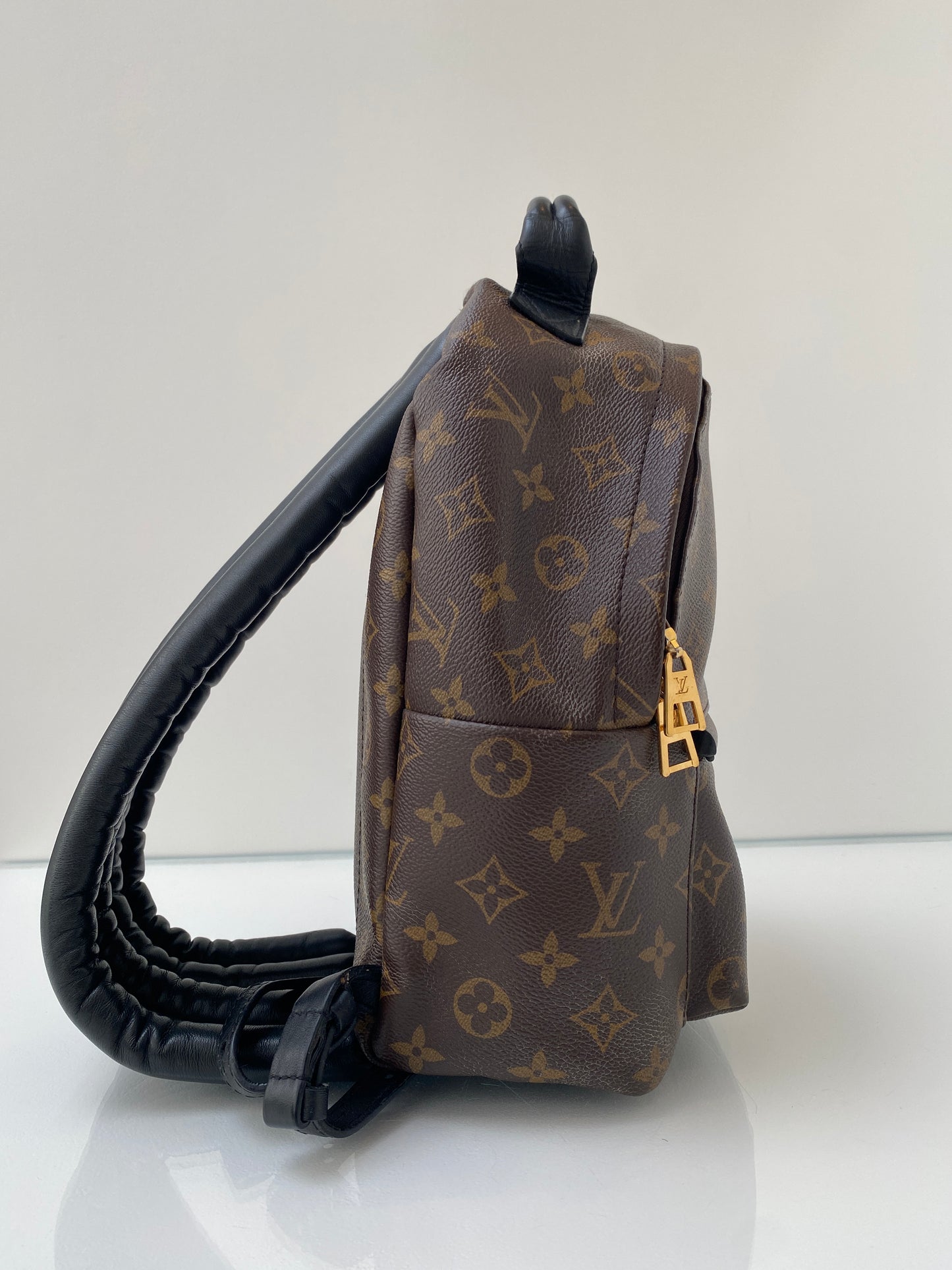 Louis Vuitton Palm Springs PM Backpack