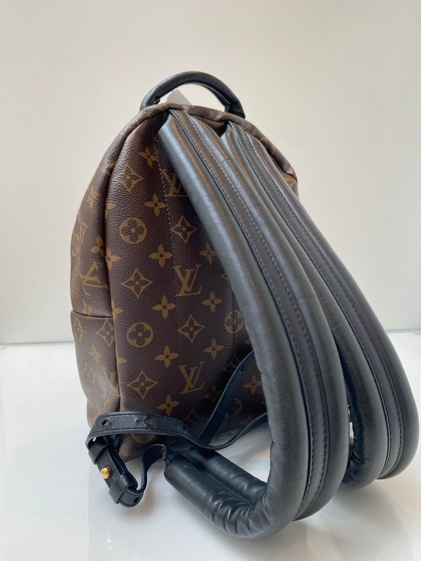 Louis Vuitton Palm Springs PM Backpack