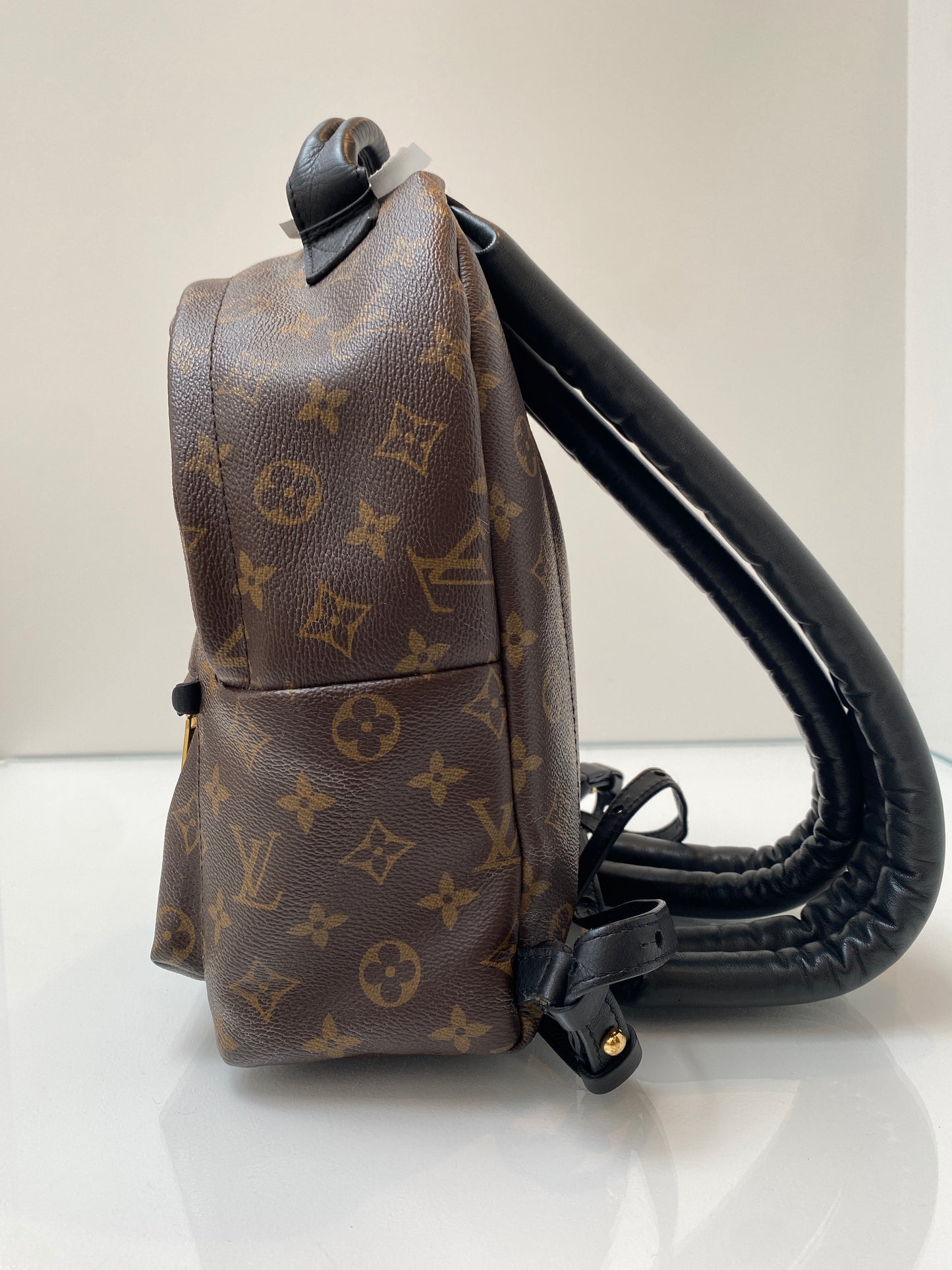 Louis Vuitton Palm Springs PM Backpack