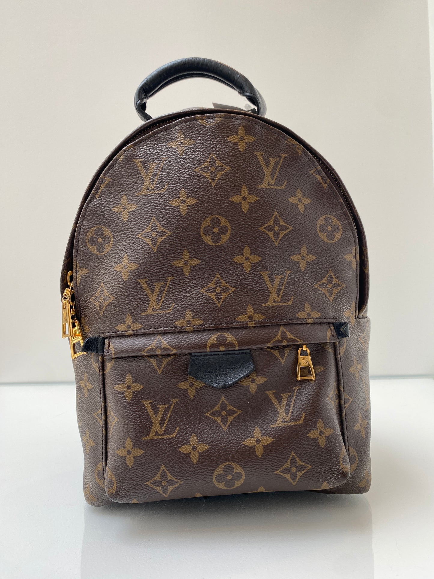 Louis Vuitton Palm Springs PM Backpack