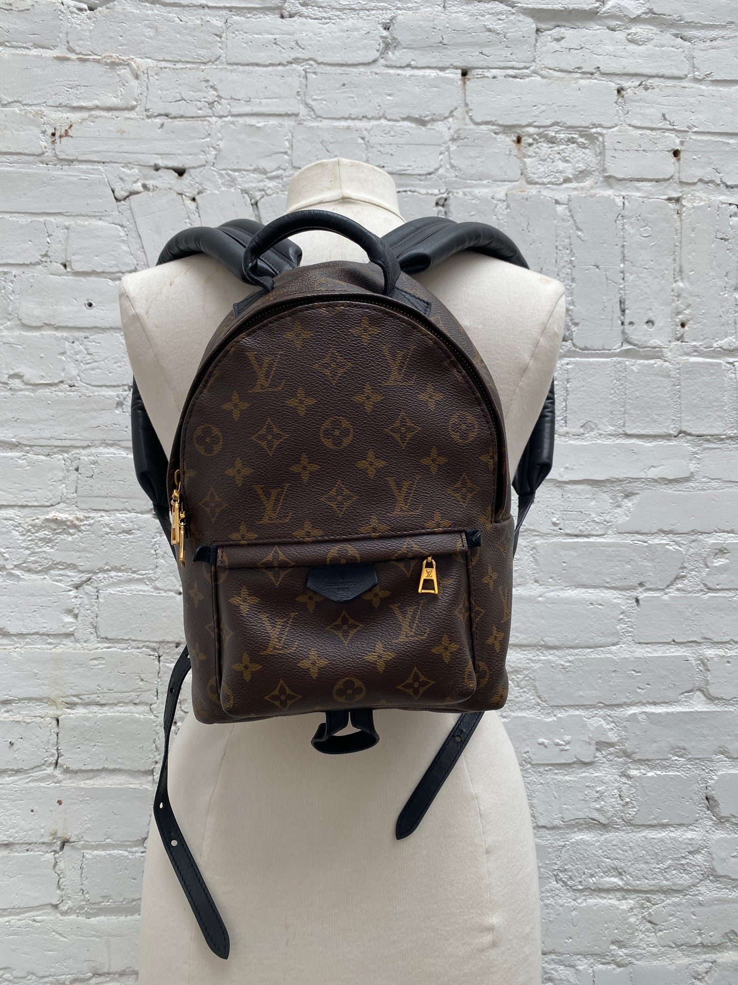 Louis Vuitton Palm Springs PM Backpack