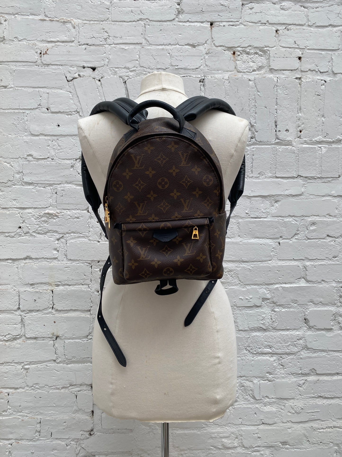 Louis Vuitton Palm Springs PM Backpack